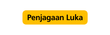 Penjagaan Luka